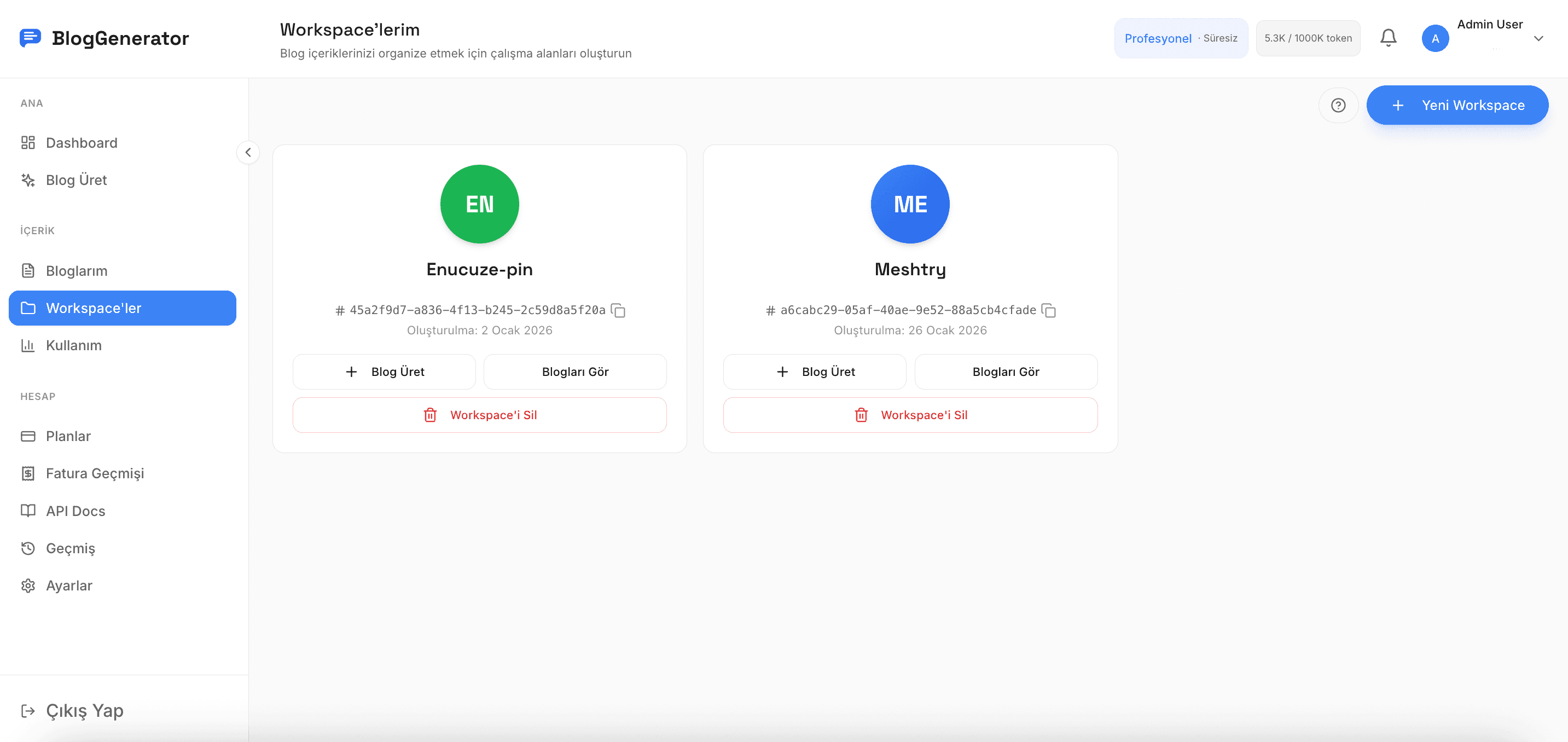BlogGenerator — Workspace'ler